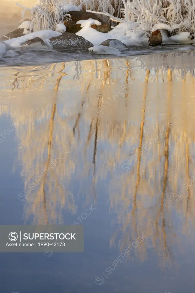 Tree reflections in open water of Junction Creek at dawn, Sudbury, Ontario, Canada