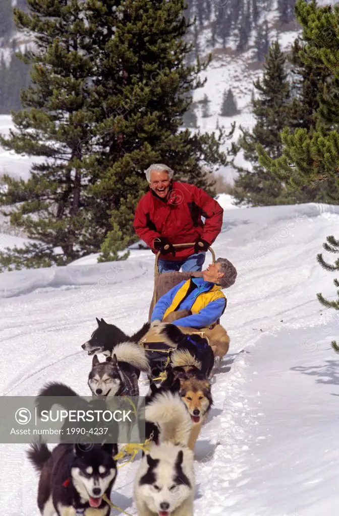 Retired couple dog sledding in Whistler, British Columbia, Canada