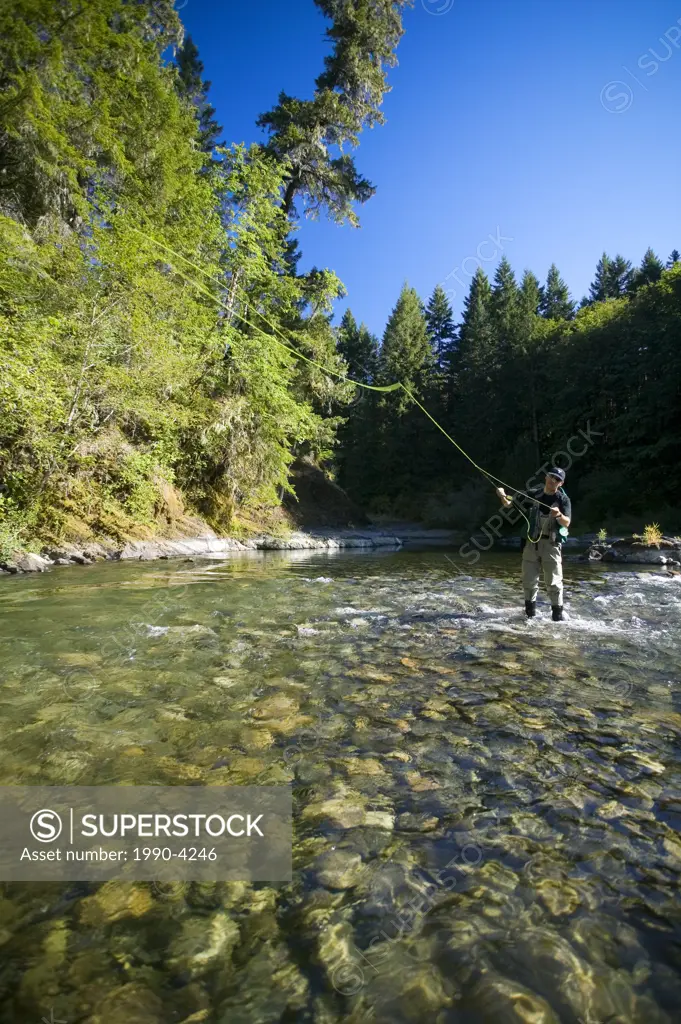 Fly fisher on the Cowichan River, near Skutz Falls on the Cowichan River, Cowichan Valley, British Columbia, Canada