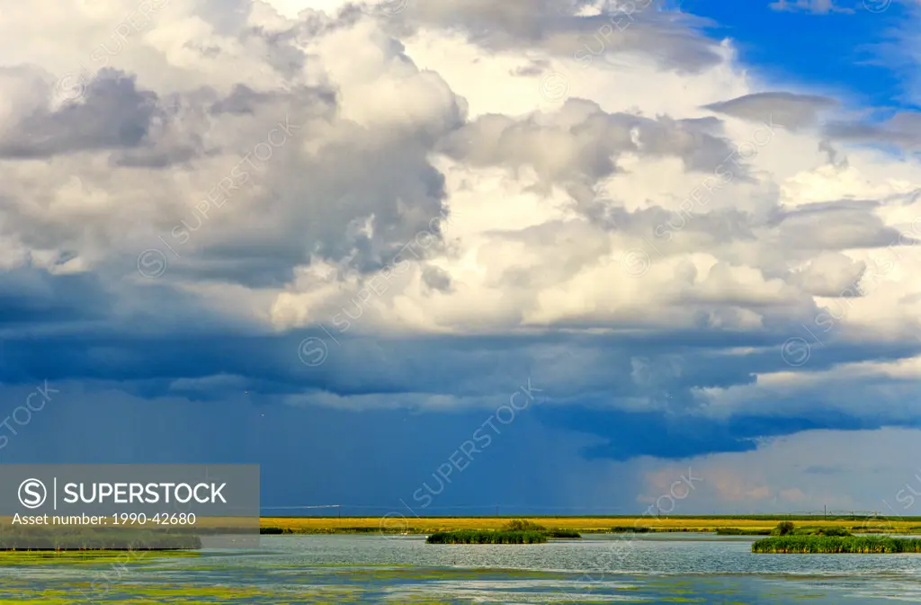 Rainstorm over prairie near Medecine Hat, Alberta, Canada