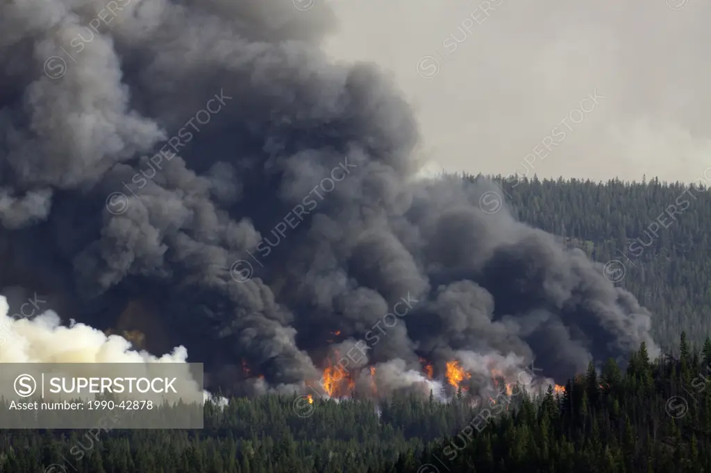 Forest Fire imagery in the Chilcotin region of British Columbia Canada