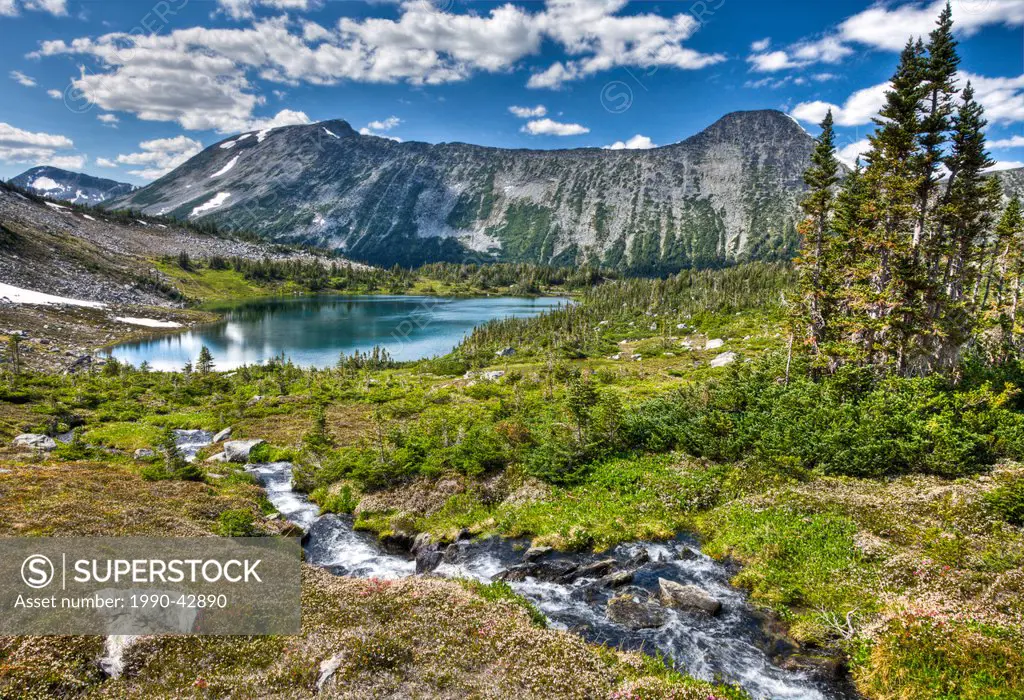 Alpine lake in the Charlotte Alplands within the Chilcotin region of British Columbia Canada