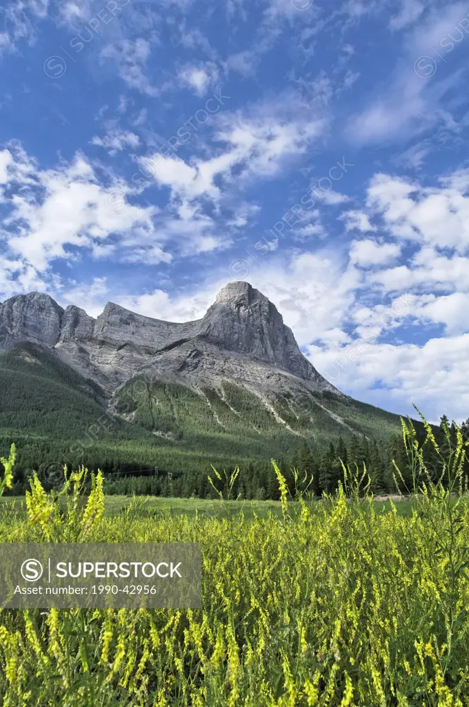 Ha Ling Peak, Mount Lawrence Grassi, Canmore, Alberta, Canada