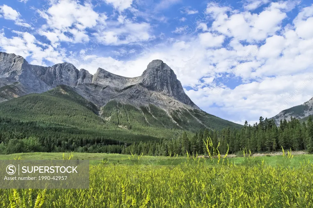 Ha Ling Peak, Mount Lawrence Grassi, Canmore, Alberta, Canada