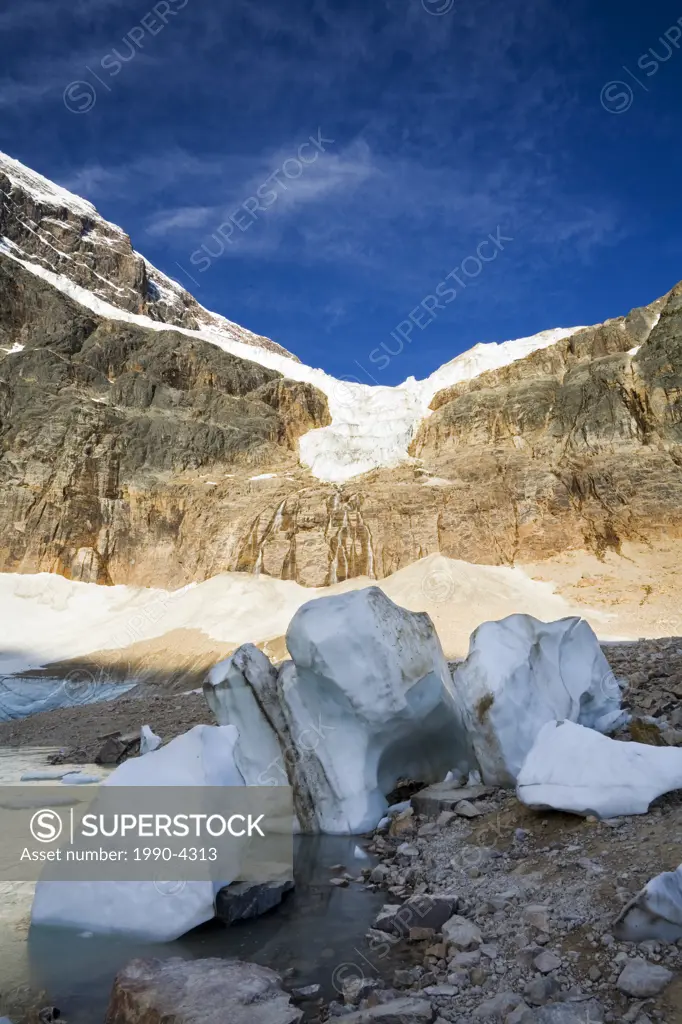 Icebergs on the shore of a meltwater lake below Angel Glacier and Mount Edith Cavell  Part of the Banff-Jasper Rocky Mountain World Heritage Site, Jas...