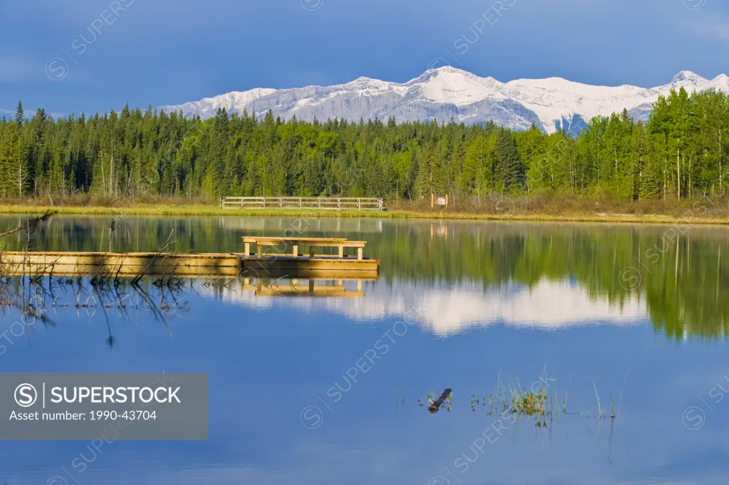 A calm nature scenic taken at Hinton Alberta of Maxwell lake with a background of rocky mountains