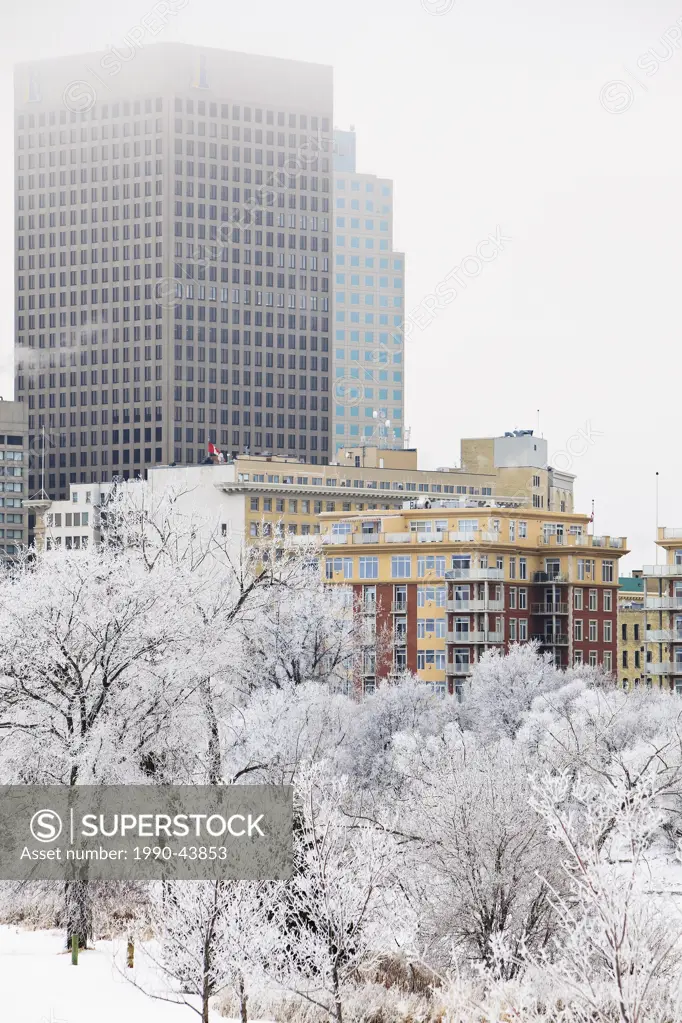 City buildings and trees covered in frost and snow on a cold winter day. Winnipeg, Manitoba, Canada.