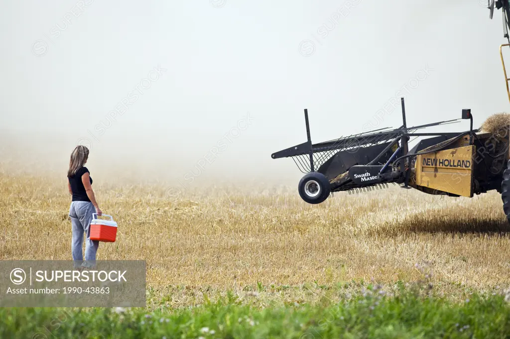 Woman delivering lunch cooler to a combine operator during the harvest. Near Somerset, Manitoba, Canada.