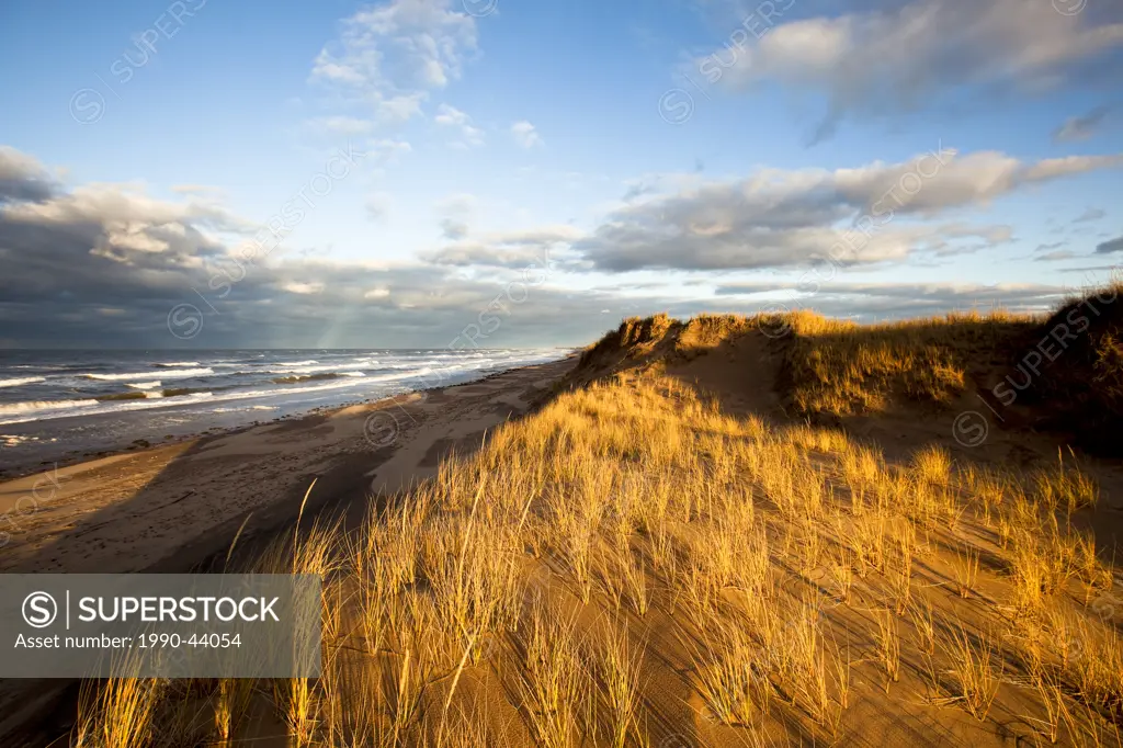 Sand dunes and Marram Grass, Brackley, Prince Edward Island National Park, Prince Edward Island, Canada