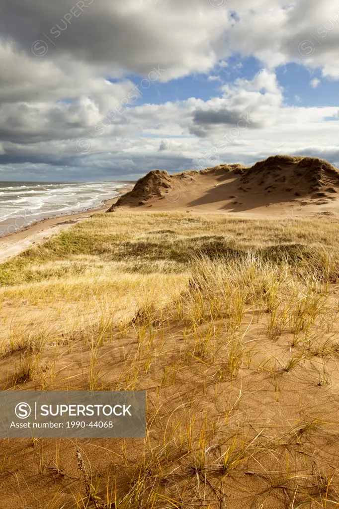Sand Dune, Brackley Beach, Prince Edward Island National Park, Canada