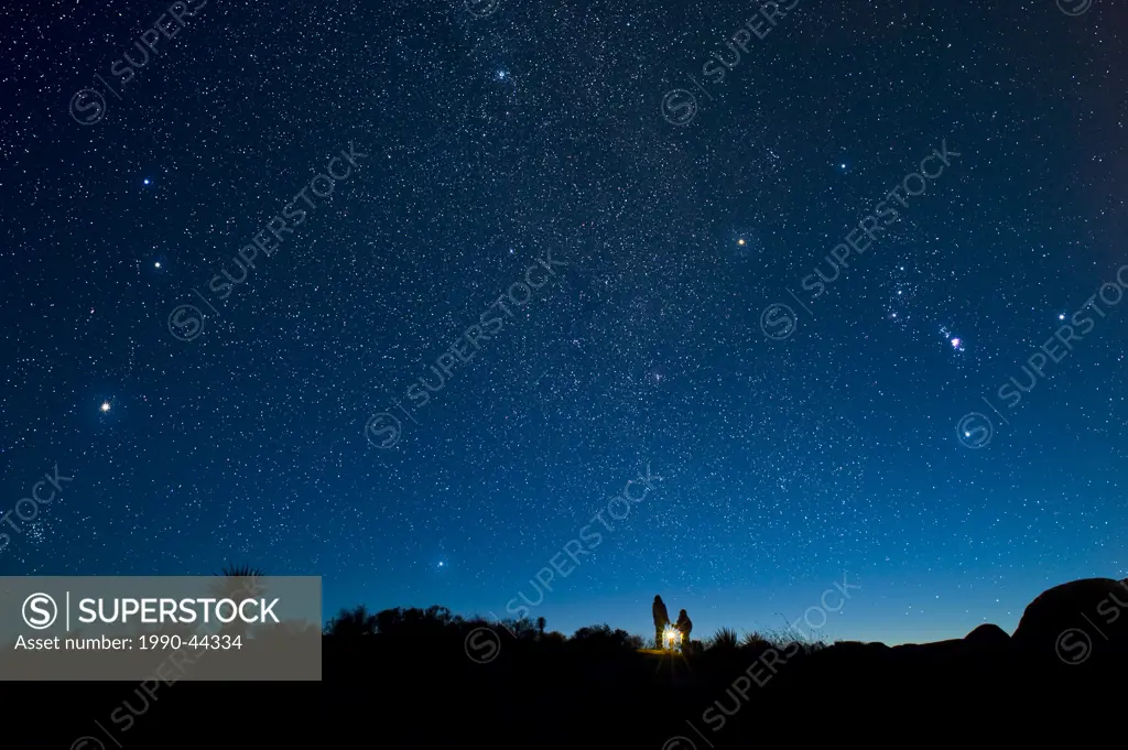 Stargazers under Orion