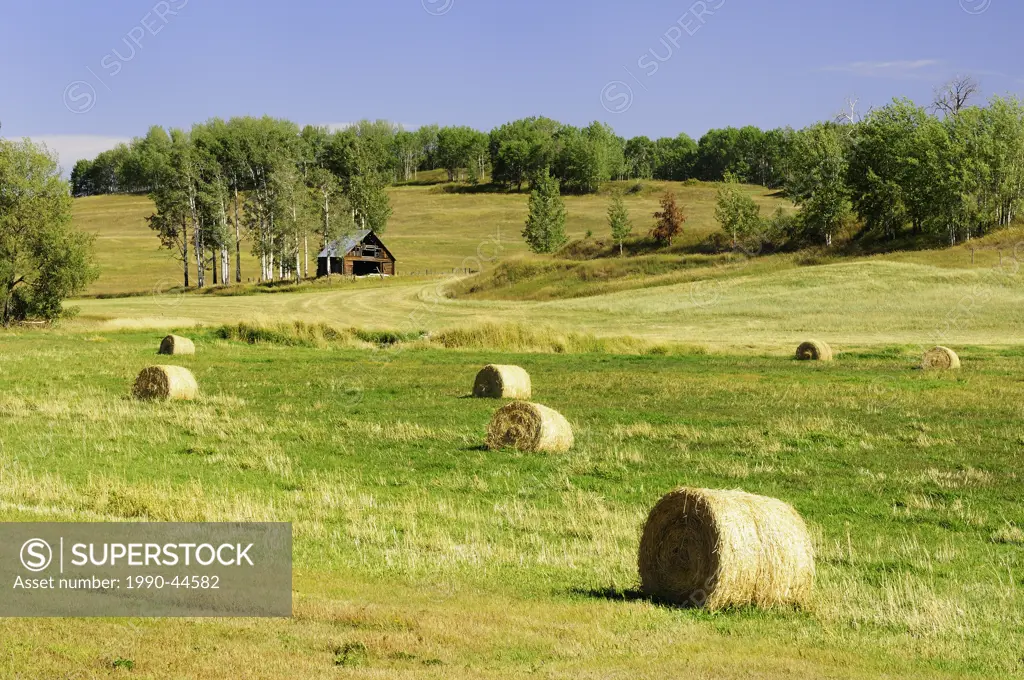 Farmland, hay bales and an old barn, Thompson Okanagan Region, British Columbia, Canada.