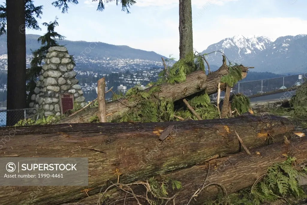 Fallen trees lie near Prospect Point in the wake of a Dec  15, 2006 storm that hit Stanley Park, Vancouver, British Columbia, Canada