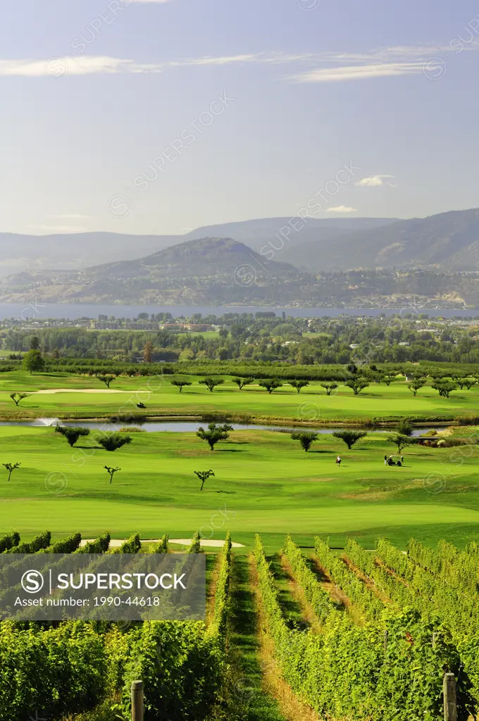 Vineyard and Harvest Golf Course in Kelowna, British Columbia, Canada.