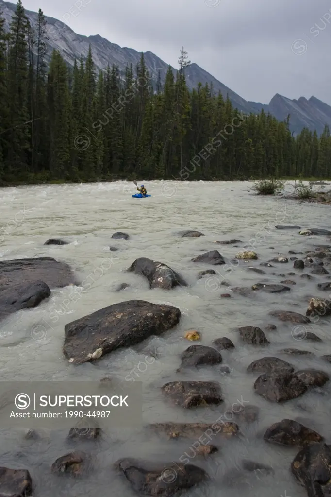 Female kayaker enjoys a stormy day on the Sunwapta River, Jasper National Park, Alberta, Canada