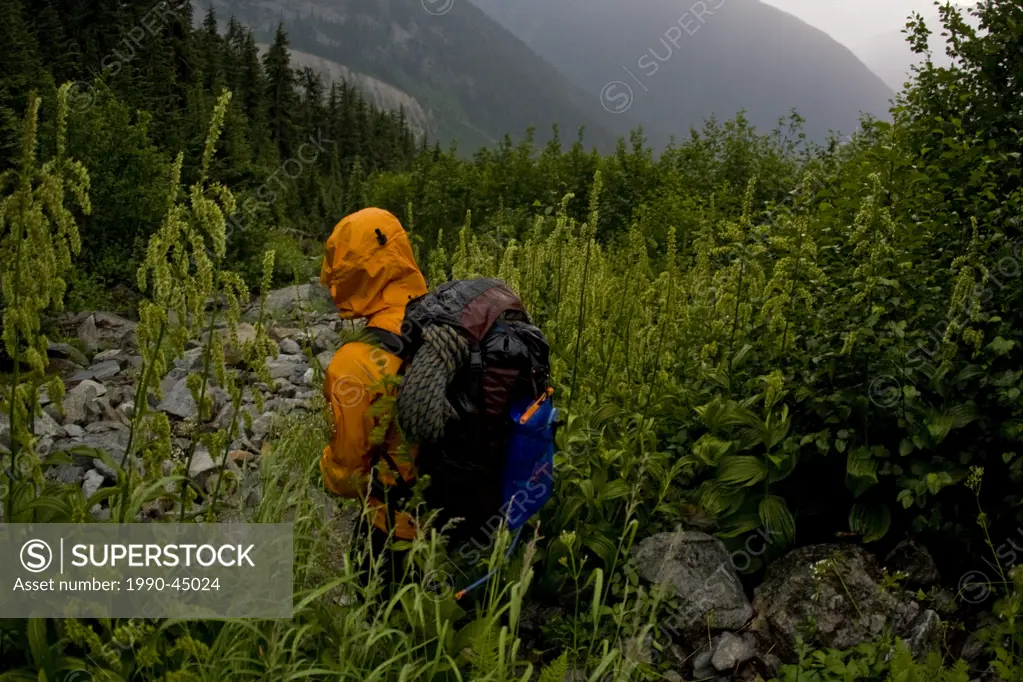 A male moutain climber descending after climbing Mt. Sir Donald, Glacier National Park, British Columbia, Canada