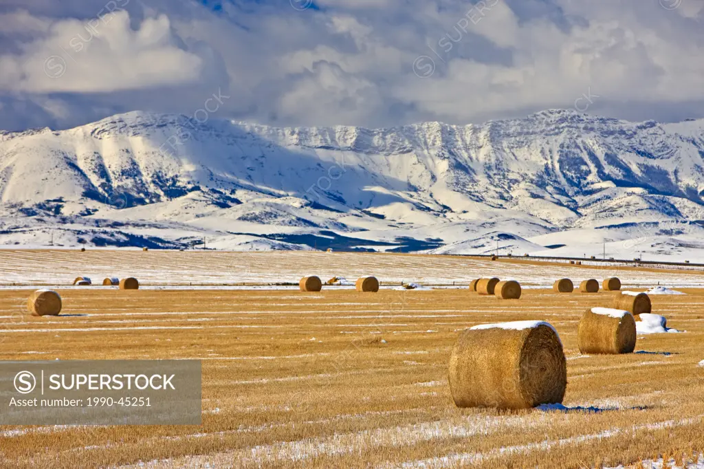 Hay bales covered in snow backdropped by snowcovered mountains in Southern Alberta, Canada.