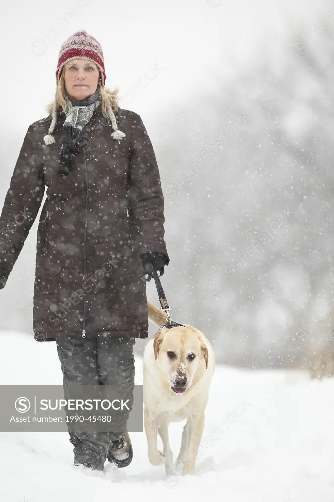 Woman walking her dog on a snowy winter day. Sturgeon Creek, Winnipeg, Manitoba, Canada.