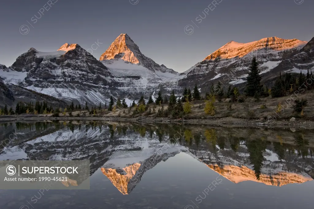 Mount Assiniboine with Alpenglow reflected in a tarn, Mount Assiniboine Provincial Park, British Columbia, Canada