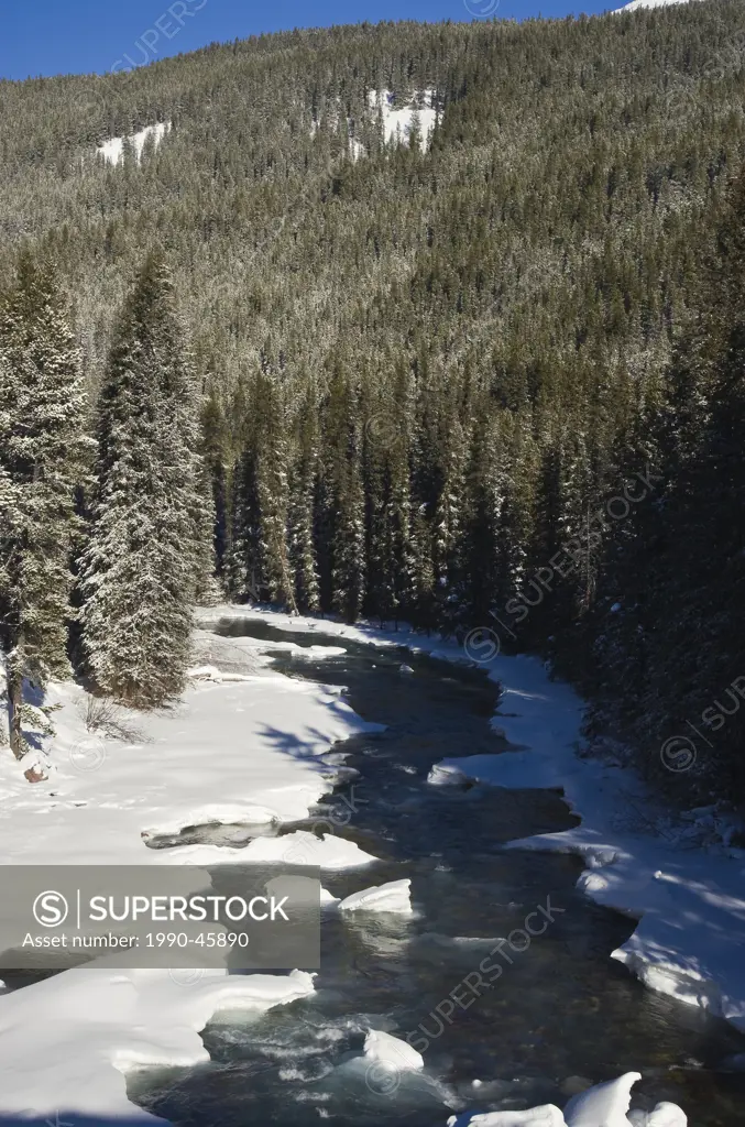 A vertical landscape image of the Maligne River in Jasper National Park, Alberta Canada.