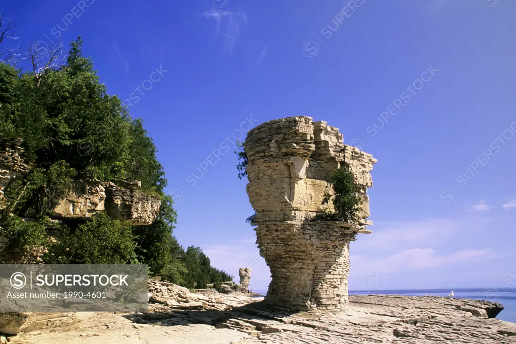 The flowerpot rock formations on Flowerpot Island in Fathom Five National Marine Park, Tobermory, Ontario, Canada