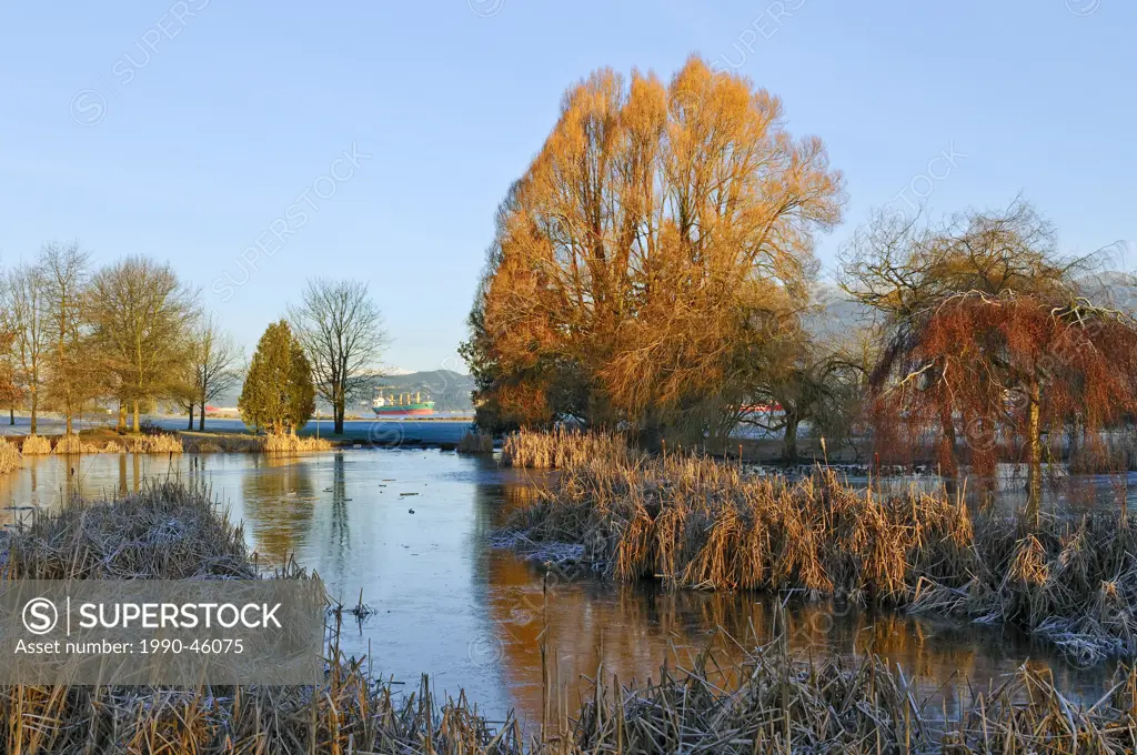 Jericho Beach Park, Vancouver, British Columbia, Canada