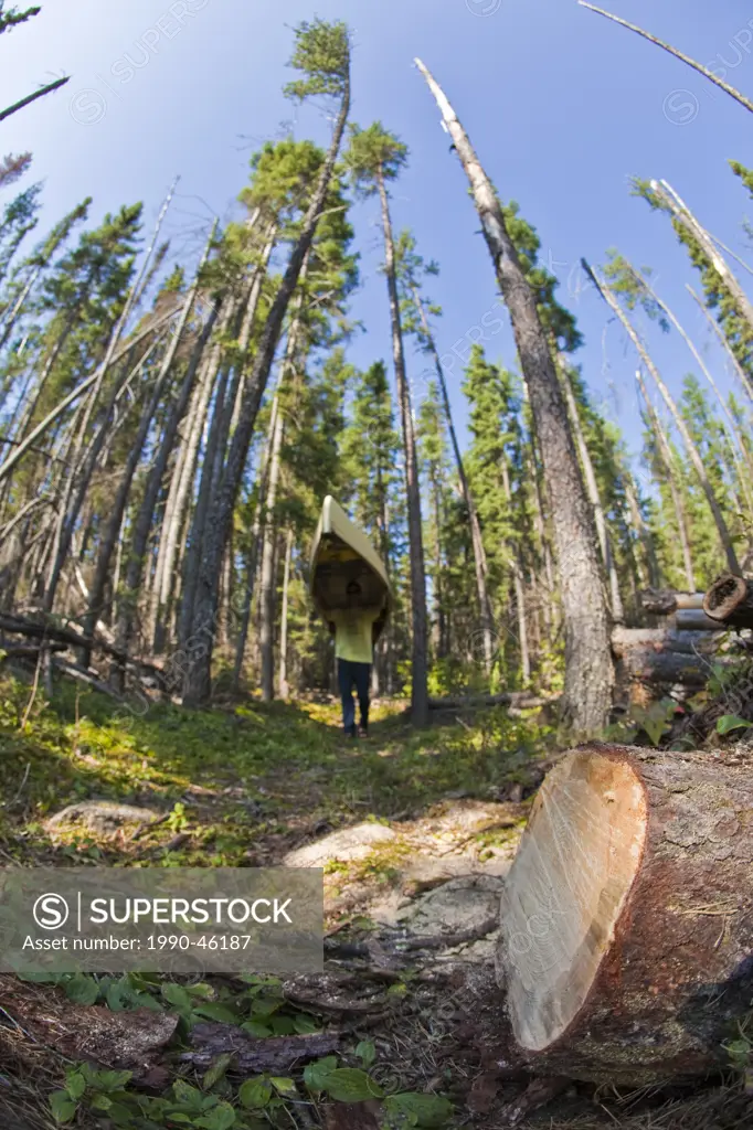 A man portages his canoe through Wabakimi Provincial Park, Ontario, Canada