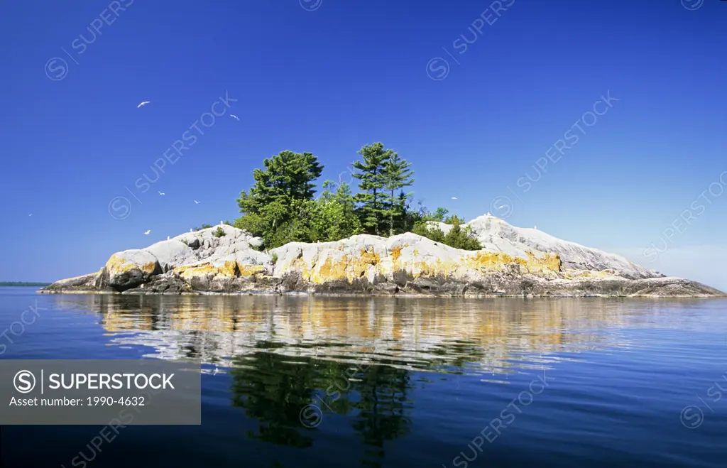 An island with nesting gulls, offshore from Agawa Rock in Lake Superior Provincial Park, Ontario, Canada