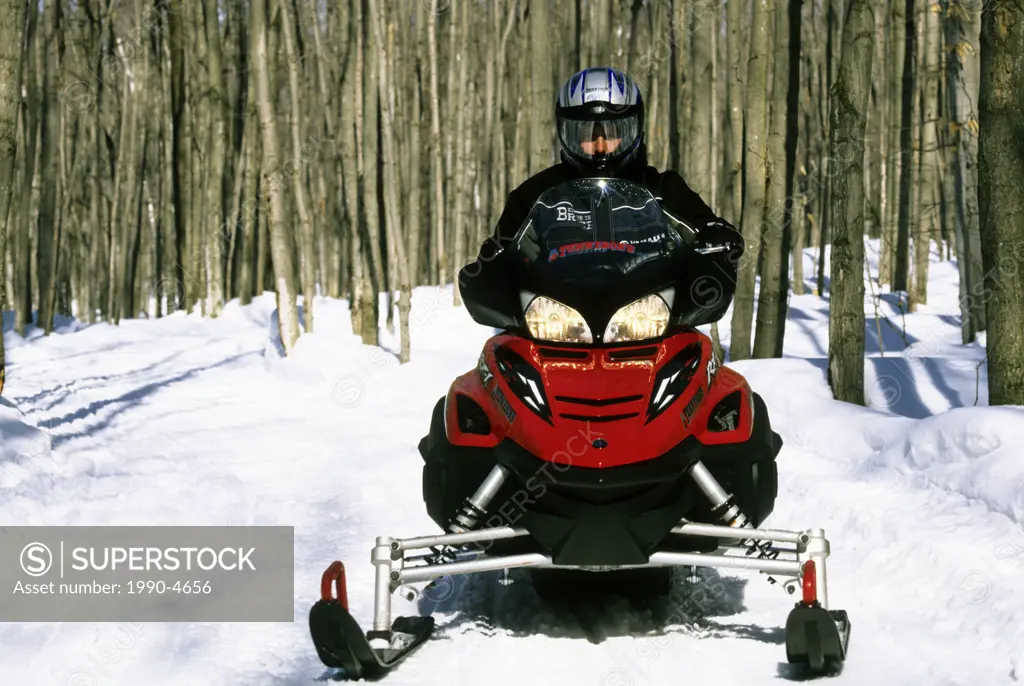 A snowmobiler cruised through a wooded trail on the Bruce Peninsula, Ontario, Canada