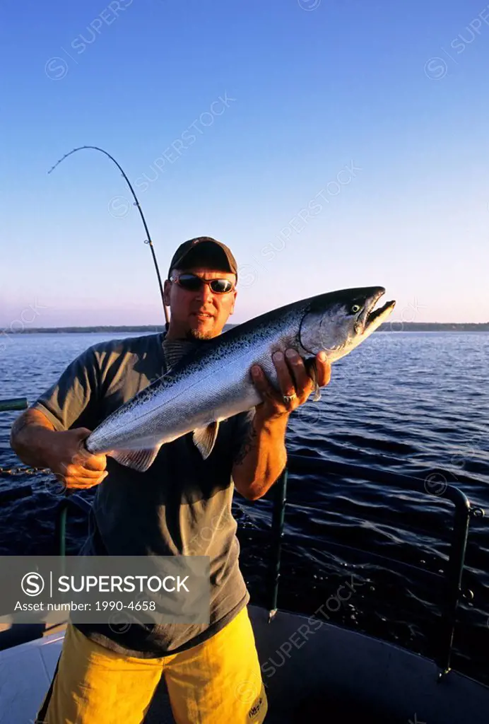 A fisherman enjoys the reward of his labours by catching a large salmon in Georgian Bay, at Fathom Five National Marine Park, Tobermory, Bruce Peninsu...