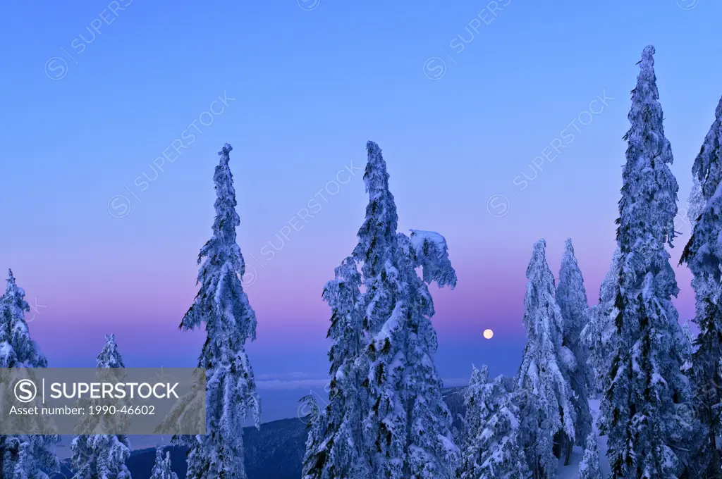 Moonset at sunrise, Mount Seymour Provincial Park, North Vancouver, British Columbia, Canada