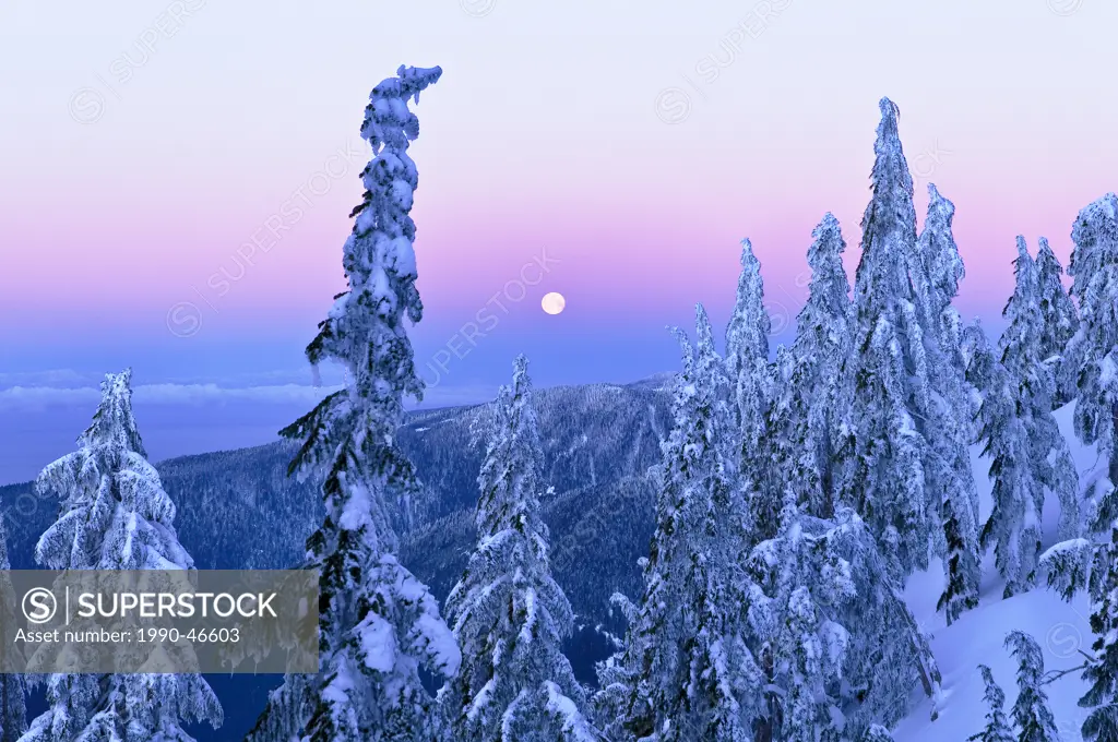 Moonset at sunrise, Mount Seymour Provincial Park, North Vancouver, British Columbia, Canada