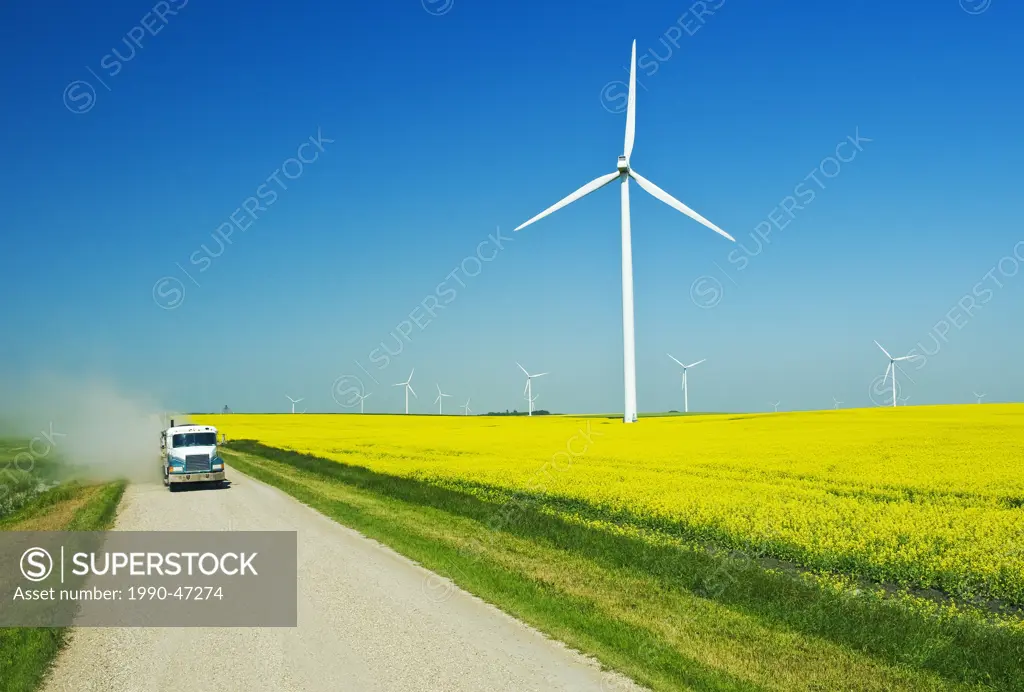 A truck travels down a country road overlooking a blooming canola field and wind turbines, Tiger Hills, Manitoba, Canada