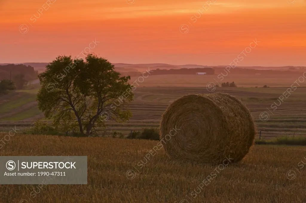Straw roll and farmland, Tiger Hills, Manitoba