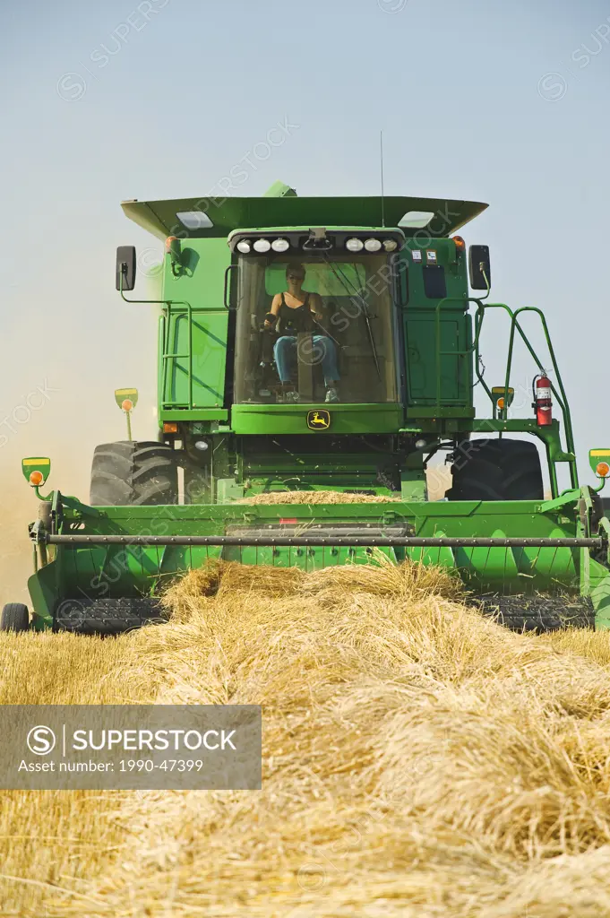 A woman operates a combine harvester during the spring wheat harvest near Somerset, Manitoba, Canada