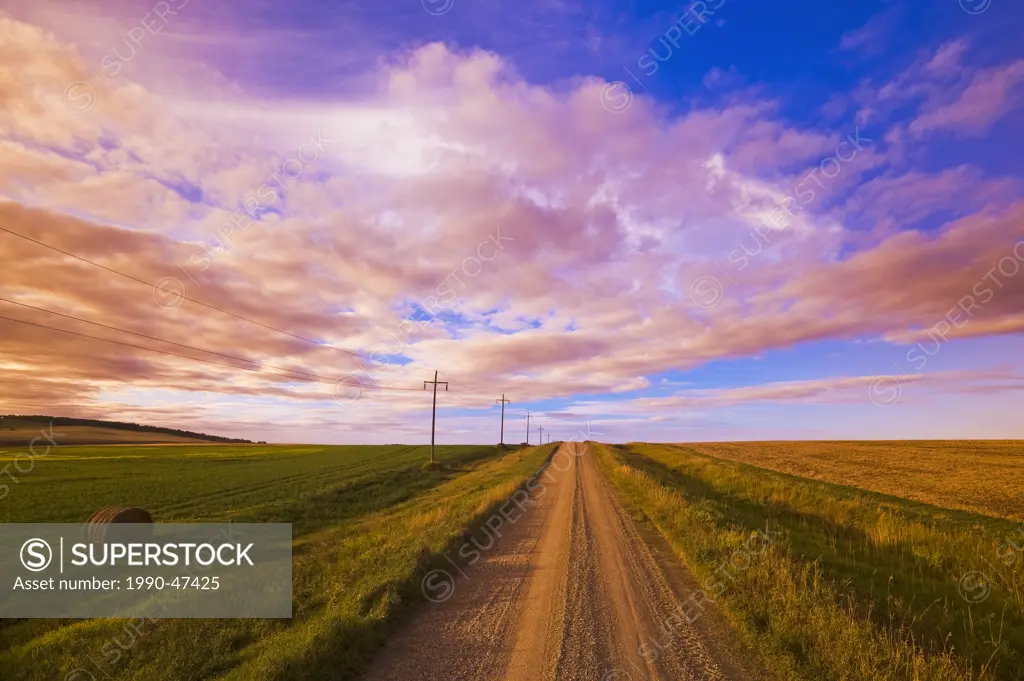 Road through farmland, Tiger Hills, Manitoba, Canada