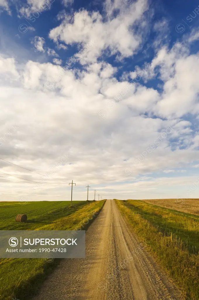 Road through farmland, Tiger Hills, Manitoba, Canada