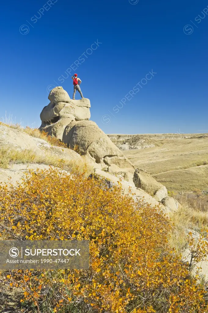 A hiker looks out over the Killdeer Badlands, East Block, Grasslands National Park, Saskatchewan, Canada