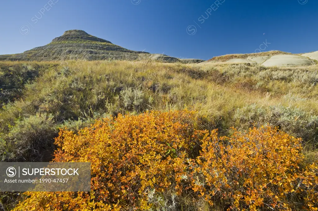 Autumn, Killdeer Badlands, East Block, Grasslands National Park, Saskatchewan, Canada