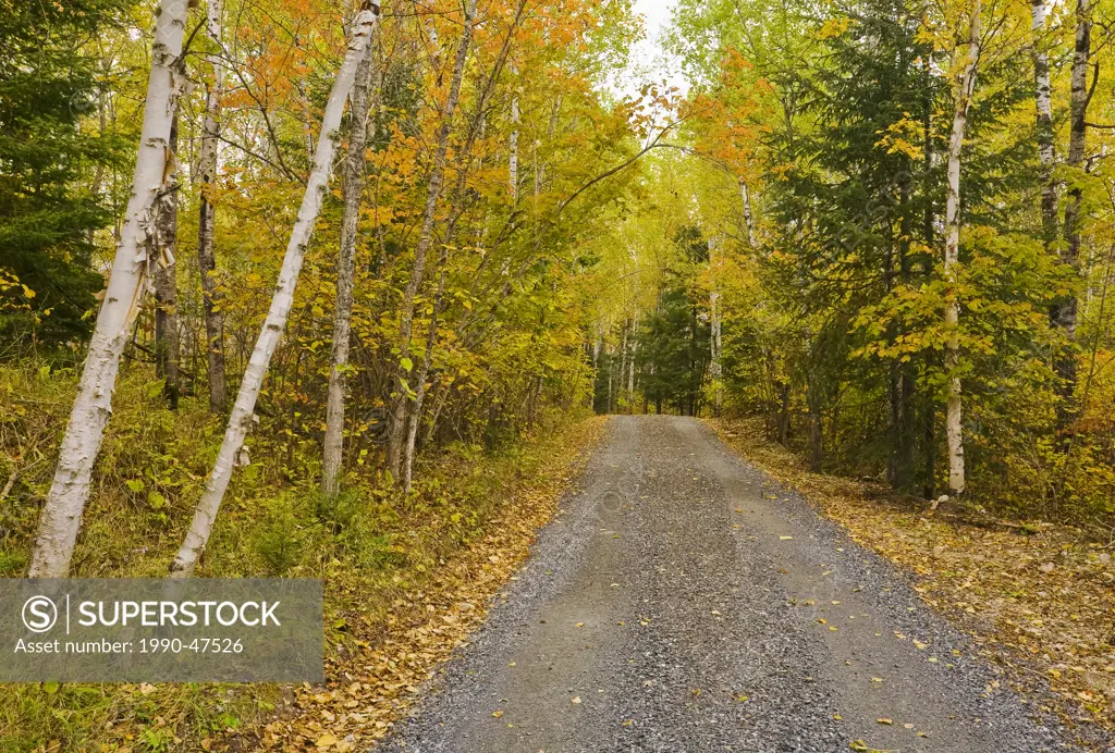 Country road, near Kenora, Northwestern Ontario, Canada