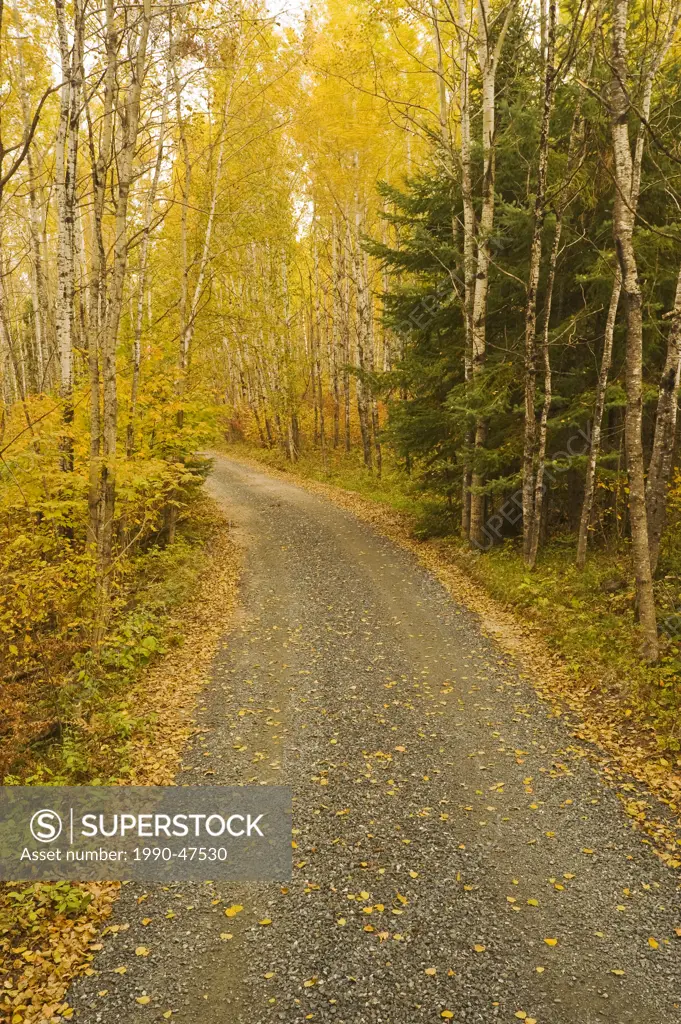 Country road, near Kenora, Northwestern Ontario, Canada