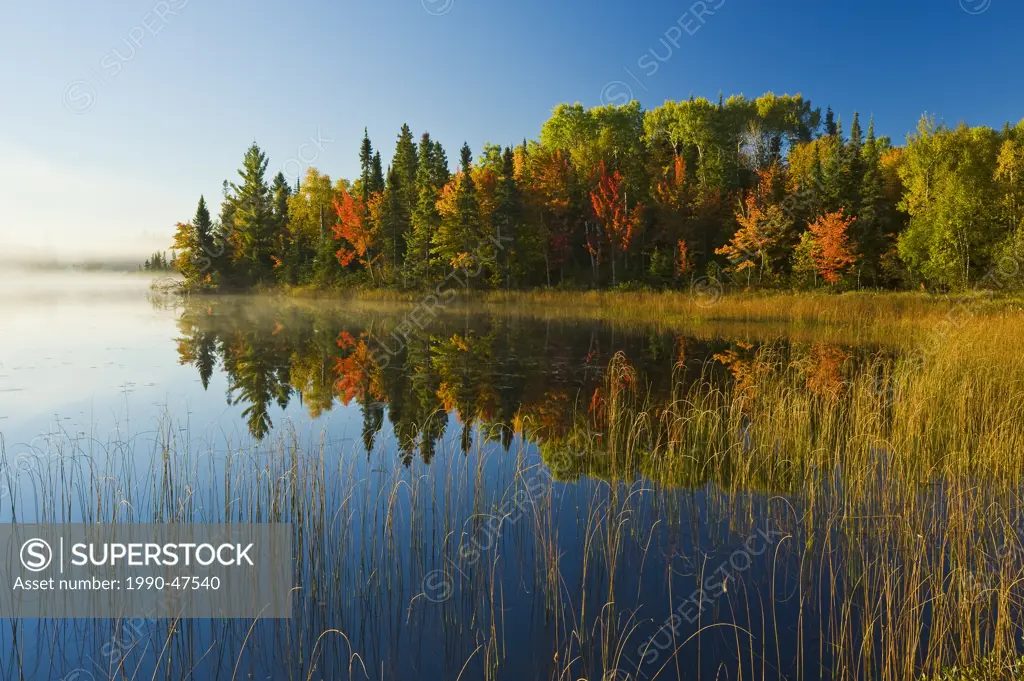 Autumn, Bunny Lake, near Sioux Narrows, Northwestern Ontario, Canada