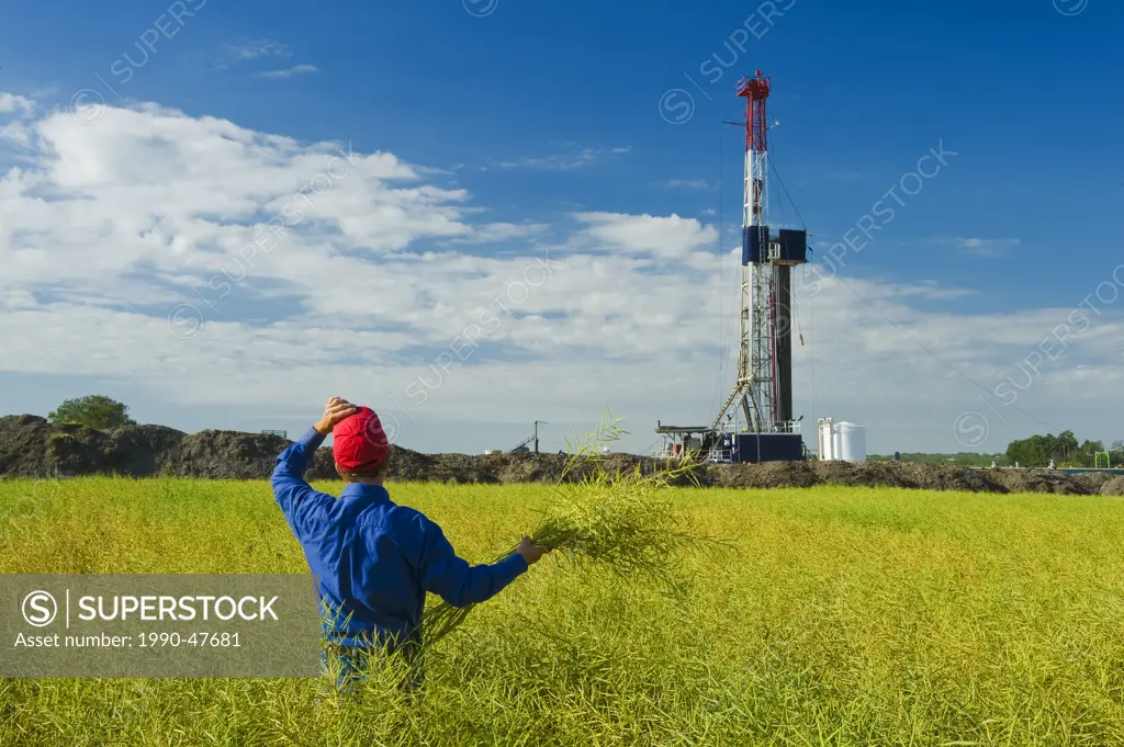 A man looks out over a field of pod stage canola with an oil drilling rig in the background, near Sinclair, Manitoba, Canada