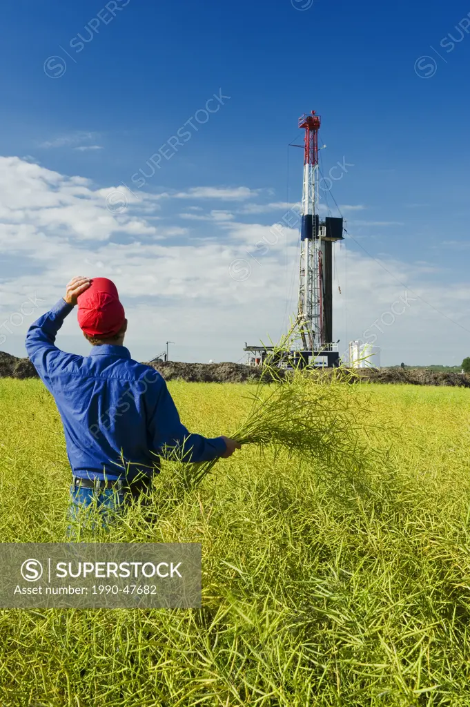 A man looks out over a field of pod stage canola with an oil drilling rig in the background, near Sinclair, Manitoba, Canada