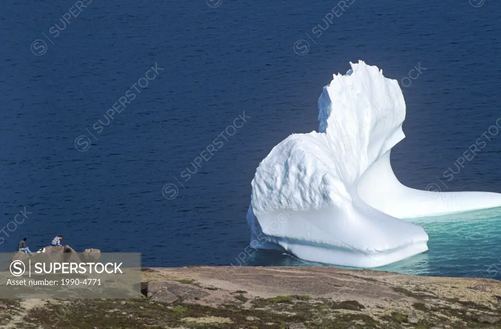 Iceberg off St  John´s, Newfoundland, Canada