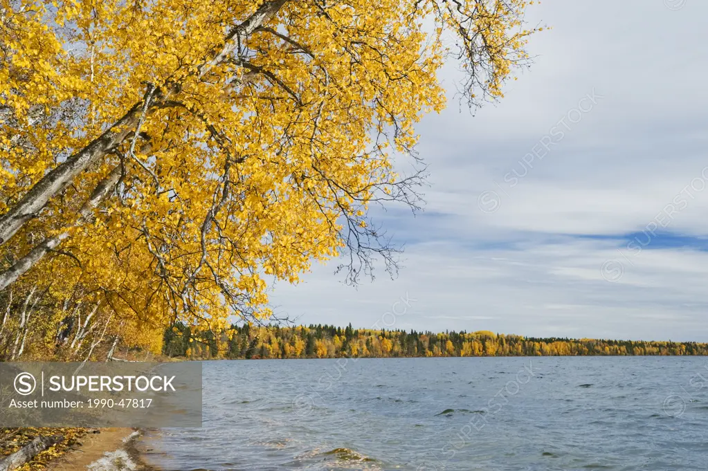 Waskasiu Lake, Prince Albert National Park, Saskatchewan, Canada