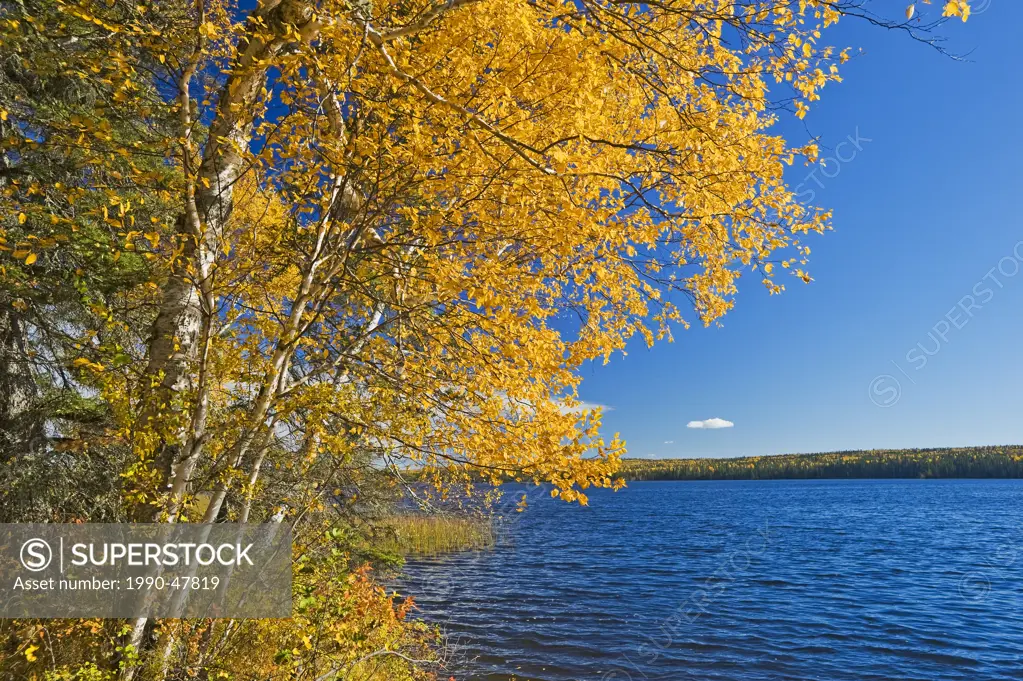 Waskasiu Lake, Prince Albert National Park, Saskatchewan, Canada