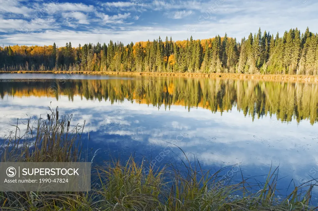 Lake, Prince Albert National Park, Saskatchewan, Canada