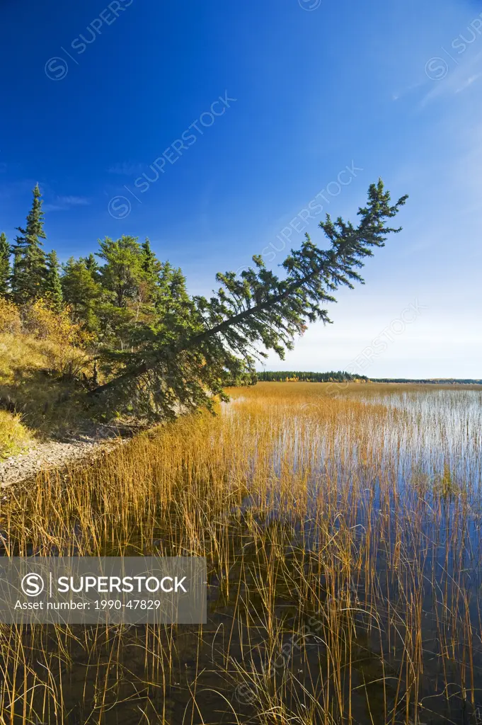 Namekus Lake, Prince Albert National Park, Saskatchewan, Canada