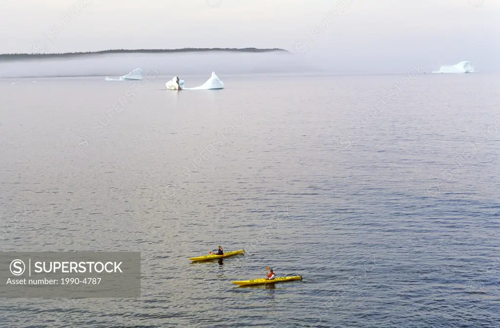 Kayakers in Witless Bay Ecological Reserve  Icebergs in the background, Newfoundland, Canada